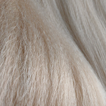 Nude - Профессиональные товары для брейдинга