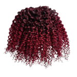 Кудри Dream Цвет t-bred4 - Профессиональные товары для брейдинга